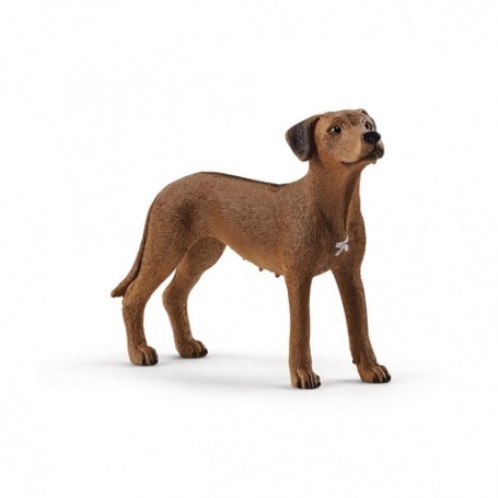 Schleich Wild Life 13895 action figure giocattolo (13895)