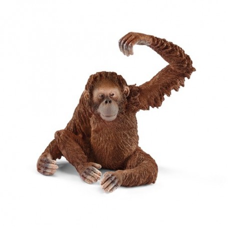 Schleich Wild Life 14775 action figure giocattolo (14775)