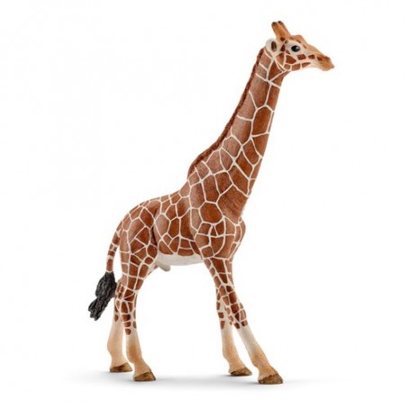 Schleich Wild Life 14749 action figure giocattolo (14749)