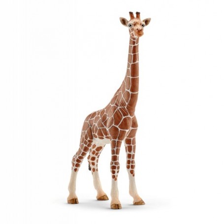 Schleich Wild Life 14750 action figure giocattolo (14750)