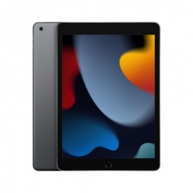 Apple iPad 256 GB 25,9 cm (10.2") Wi-Fi 5 (802.11ac) iPadOS 15 Grigio (MK2N3FD/A)