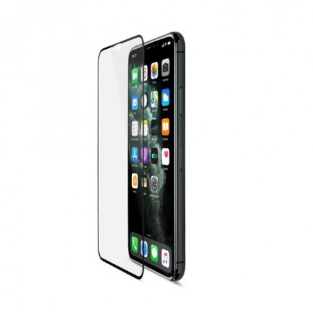 Artwizz CurvedDisplay Pellicola proteggischermo trasparente Apple 1 pz (4266-2444)