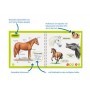 Ravensburger tiptoi 00.000.684 libro per bambini (00684)