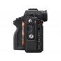 SONY ALPHA 9II CORPO (SONY ITALIA) Garanzia SONY ITALIA 5 anni (SS233)