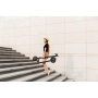 NINEBOT BY SEGWAY KickScooter E25E (Ninebot E45D)