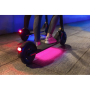 NINEBOT BY SEGWAY KickScooter E25E (Ninebot E45D)