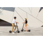 NINEBOT BY SEGWAY KickScooter E25E (Ninebot E45D)