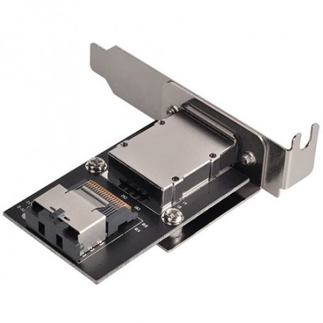 Silverstone SA011 scheda di interfaccia e adattatore Interno Mini-SAS (SST-SA011)