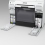 Epson C13T43U640 cartuccia d'inchiostro 1 pz Originale Magenta chiaro