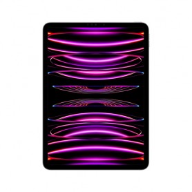 Apple iPad Pro 128 GB 27,9 cm (11") Apple M 8 GB Wi-Fi 6E (802.11ax) iPadOS 16 Grigio