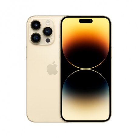 Apple iPhone 14 Pro Max 17 cm (6.7") Doppia SIM iOS 16 5G 1000 GB Oro