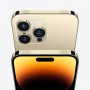 Apple iPhone 14 Pro Max 17 cm (6.7") Doppia SIM iOS 16 5G 256 GB Oro