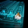 Sharkoon SGK50 S4 tastiera USB QWERTZ Tedesco Nero