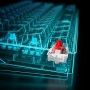 Sharkoon SGK50 S4 tastiera USB QWERTY Spagnolo Nero