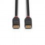 Lindy 41167 cavo DisplayPort 5 m Nero