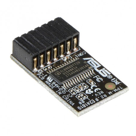 ASUS TPM-M R2.0 Universale