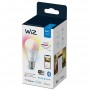 WiZ Lampadina A60 E27 (929002383602)