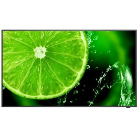 NEC MultiSync E498 124,5 cm (49") IPS 4K Ultra HD Nero (60005052)