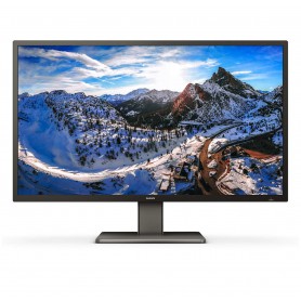 Philips P Line 439P1/00 LED display 108 cm (42.5") 3840 x 2160 Pixel 4K Ultra HD Nero (439P1/00)
