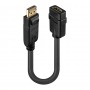 Lindy 41005 cavo e adattatore video 0,15 m DisplayPort HDMI Nero (41005-LND)