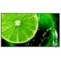 NEC MultiSync E658 165,1 cm (65") IPS 4K Ultra HD Nero (60005059)