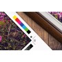 Epson SureColor SC-P7500 (C11CH12301A0)