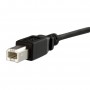 StarTech.com Cavo pannello USB 30 cm B a B - F/M (USBPNLBFBM1)