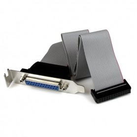 StarTech.com Adattatore cavo collettore porta parallela 40 cm basso profilo con staffa – DB25 (F) a IDC26 (PLATE25F16LP)