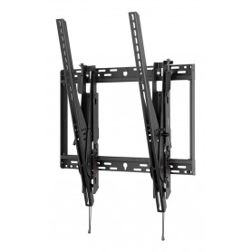 NEC PDW T XL-2 2,49 m (98") Nero (100014891)