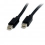 StarTech.com Cavo Mini DisplayPort 1.2 - DisplayPort 4k da 2m M/M (MDISP2M)