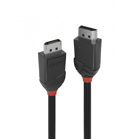 Lindy 36492 cavo DisplayPort 2 m Nero (36492)