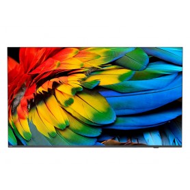 43 MEDIASUITE IPTV 4K CHROMECAST (43HFL6214U/12)