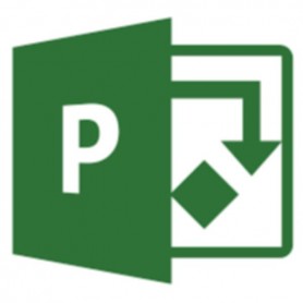 PROJECT ONLINE ESSENTIALS