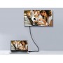 Equip 119331 Cavo DisplayPort 1.2, 1,0 m, 4K/60Hz