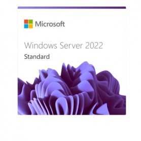 WIN SRV 2022 CAL 1 USER CAL 1 YEAR
