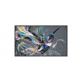 MONITOR 43 Q-LINE 18/7 4K (43BDL3511Q/00)