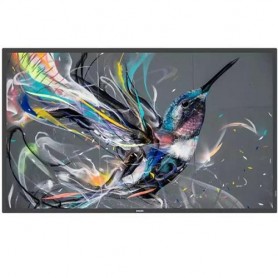 MONITOR 50 Q-LINE 18/7 4K (50BDL3511Q/00)