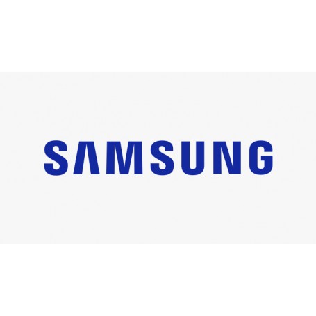 Samsung P-LM-2NXXMSP 1 licenza/e 2 anno/i