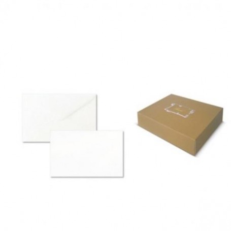 CF100BIGLIETTI BRISTOL 9X14CM BI (8009BIGLIETTO)