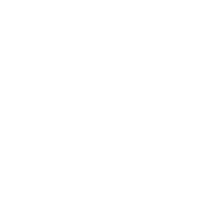 DISTRUGGIDOCUMENTI AUTOMAX 150C (4680102-99)