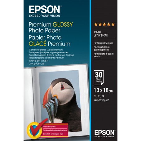 Epson Premium Glossy Photo Paper - 13x18cm - 30 Fogli (C13S042154)