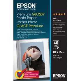 Epson Premium Glossy Photo Paper - 10x15cm - 40 Fogli (C13S042153)