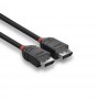Lindy 36491 cavo DisplayPort 1 m Nero (36491-LND)