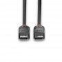 Lindy 36491 cavo DisplayPort 1 m Nero (36491-LND)