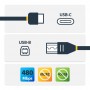StarTech.com Cavo USB-C a USB-B da 2m - M/M - Cavo USB 2.0 Tipo C a USB-B (USB2CB2M)