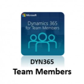 DYNAMICS 365 TEAM MEMBERS (CFQ7TTC0LFNJ-0001)