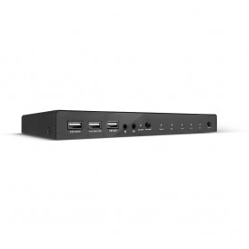 Lindy 32810 switch per keyboard-video-mouse (kvm) Nero