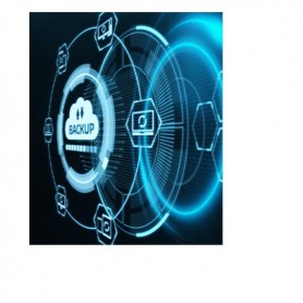 CLDBOX-WORKSTATION AGENT-10 LICENZE
