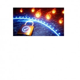 VIRT FRW-1ISTANZA DEDICATA-50MB
