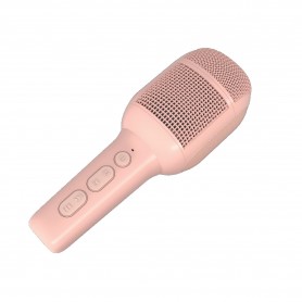 MICR WITH VOICE CONTOL 2PK